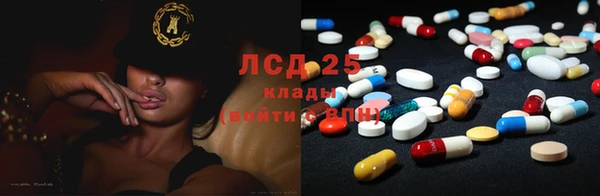 крисы Абаза