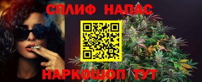 индика Братск