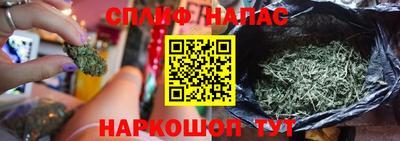 гидра Боровичи