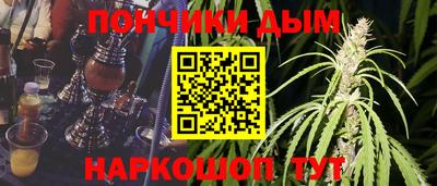 индика Братск