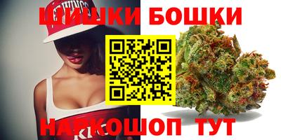 индика Братск