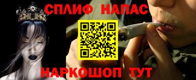индика Братск