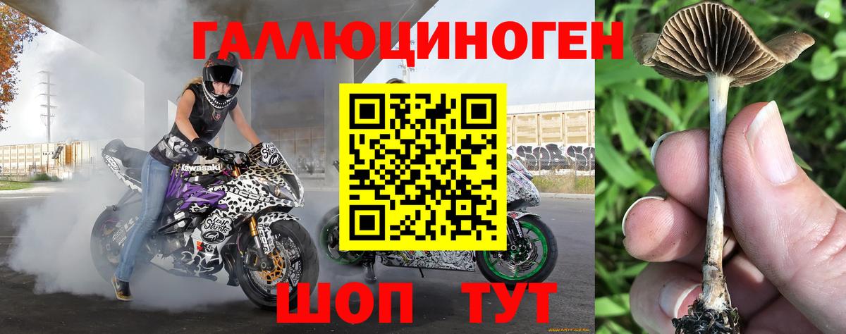 Псилоцибиновые грибы мицелий Лиски